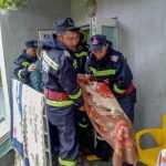 interventii inundatii pompieri 39