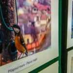 Iarna pițigoilor - expoziție foto inedită cu pițigoi „romașcani” 2 expozitie pitigoi Gabriel Alin Iosub 102157