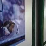 Iarna pițigoilor - expoziție foto inedită cu pițigoi „romașcani” 3 expozitie pitigoi Gabriel Alin Iosub 102211