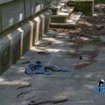 Scoala Armeneasca fostul Club al Copiilor 6877