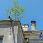 Scoala Armeneasca fostul Club al Copiilor 6891