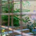 Scoala Armeneasca fostul Club al Copiilor 6903