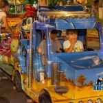 zilele diasporei 1203