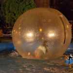 zilele diasporei 1244