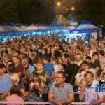 zilele diasporei Silvia Semeniuc 1216