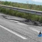 ocolitoarea Roman Est carpita 1973