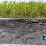 ocolitoarea Roman Est carpita 1979