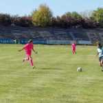 Vulpitele Galbene Roman Selena SN Constanta 2992