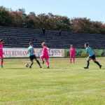 Vulpitele Galbene Roman Selena SN Constanta 3000