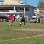 Vulpitele Galbene Roman Selena SN Constanta 3004