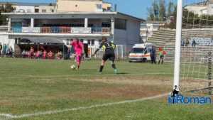 Vulpitele Galbene Roman Selena SN Constanta 3004