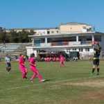 Vulpitele Galbene Roman Selena SN Constanta 3009