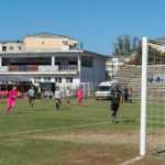 Vulpitele Galbene Roman Selena SN Constanta 3013