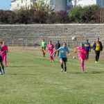 Vulpitele Galbene Roman Selena SN Constanta 3021