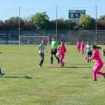 Vulpitele Galbene Roman Selena SN Constanta 3023