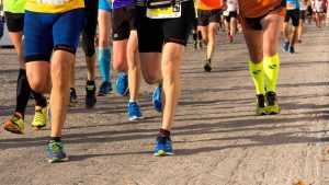 alergare 480679 unsplash