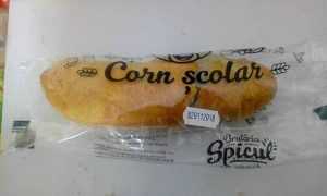 corn scolar