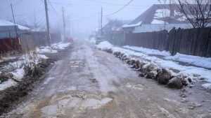 cartier Petru Rares 100014 2