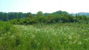 Cetatea Noua a Romanului vedere interioara a curtinei foto 1