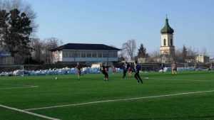 Vulpitele Galbene amical