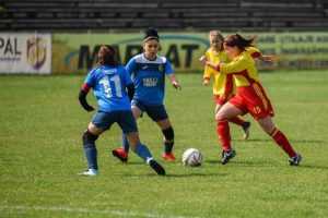 vulpitele galbene apilie 2019 2