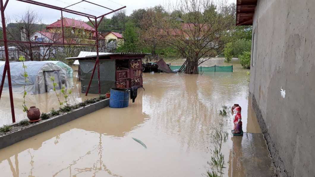 curte inundata Ion Creanga