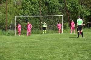 Vulpitele Galbene Ladies Targu Mures
