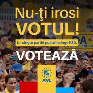 carton PNL vot