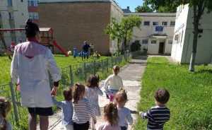 cresa smirodava casa fluturasilor