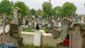 Ziua Veteranilor 3875