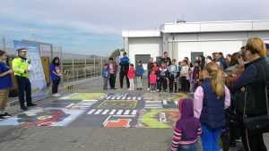 verde la circulatie Lidl 2