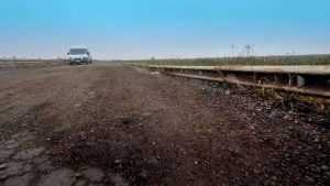 Video ocolitoarea Roman Est