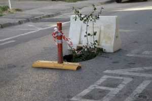 20200804165813 MG 2720