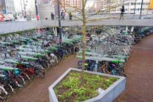 Parcare de biciclete în Rotterdam
